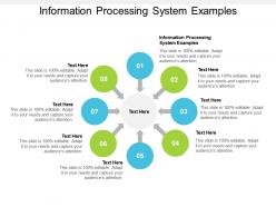 Information processing system examples ppt powerpoint presentation show slideshow cpb