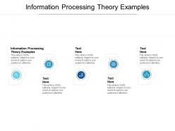 Information processing theory examples ppt powerpoint presentation layouts show cpb