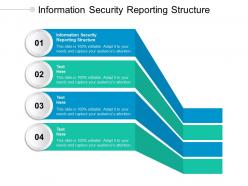 Information security reporting structure ppt powerpoint presentation styles ideas cpb