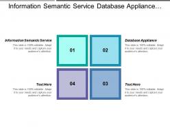 Information semantic service database appliance data quality tools