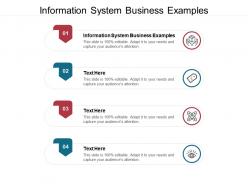 Information system business examples ppt powerpoint presentation file shapes cpb