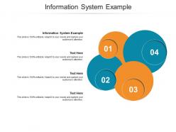 Information system example ppt powerpoint presentation ideas visuals cpb