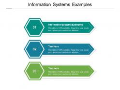 Information systems examples ppt powerpoint presentation file formats cpb