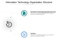 Information technology organization structure ppt powerpoint presentation ideas example cpb