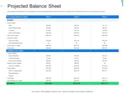 Initial public offering ipo as exit option projected balance sheet ppt infographics images