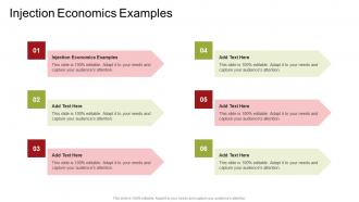 Injection Economics Examples In Powerpoint And Google Slides Cpb