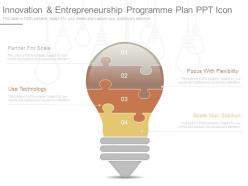 Innovation and entrepreneurship programme plan ppt icon