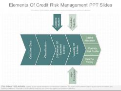 Innovative elements of credit risk management ppt slides