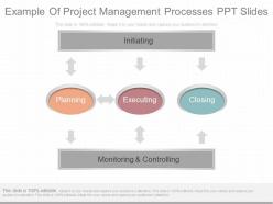 Innovative Example Of Project Management Processes Ppt Slides