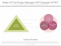 Innovative roles of the project manager ppt example of ppt
