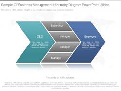 Innovative sample of business management hierarchy diagram powerpoint slides