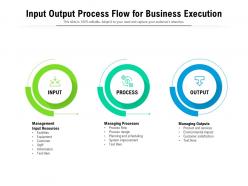 Input output process flow for business execution