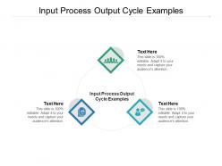 Input process output cycle examples ppt powerpoint presentation pictures icon cpb