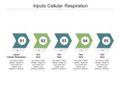 Inputs cellular respiration ppt powerpoint presentation infographic template inspiration cpb