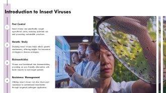 Insect Viruses Diversity Biology And Applications PPT Information AT Colorful