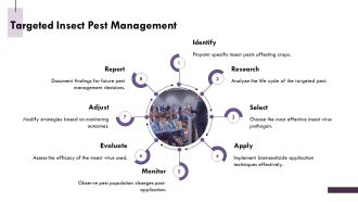 Insect Viruses Diversity Biology And Applications PPT Information AT Captivating