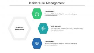 Insider risk management ppt powerpoint presentation gallery show cpb