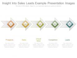 Insight Into Sales Leads Example Presentation Images