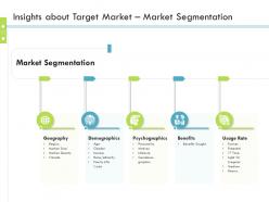 Insights about target market market segmentation firm guidebook ppt grid Insights about target market market segmentation firm guidebook ppt grid