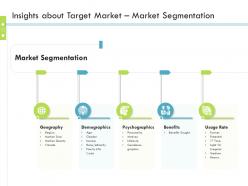 Insights about target market market segmentation firm guidebook ppt grid