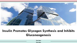 Insulin Promotes Glycogen Synthesis And Inhibits Gluconeogenesis PPT Structure AT