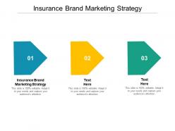 Insurance brand marketing strategy ppt powerpoint presentation infographic template cpb