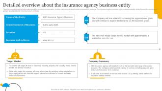 Insurance Business Plan Detailed Overview About The Insurance Agency Business Entity BP SS