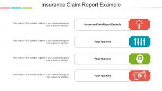 Insurance Claim Report Example Ppt Powerpoint Presentation Model Gallery Cpb