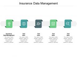 Insurance data management ppt powerpoint presentation gallery objects cpb