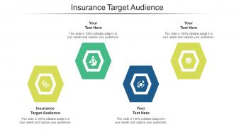 Insurance Target Audience Ppt Powerpoint Presentation Layouts Format Ideas Cpb