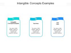 Intangible concepts examples ppt powerpoint presentation portfolio background images cpb