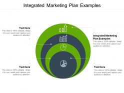 Integrated marketing plan examples ppt powerpoint presentation icon gallery cpb