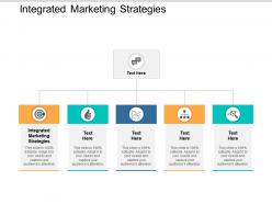 Integrated marketing strategies ppt powerpoint presentation file designs download cpb