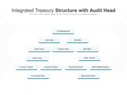 Integrated Treasury Structure With Audit Head