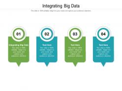 Integrating big data ppt powerpoint presentation inspiration gallery cpb