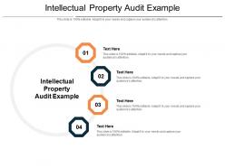Intellectual property audit example ppt powerpoint presentation portfolio show cpb
