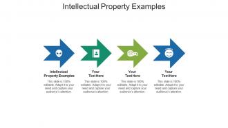 Intellectual property examples ppt powerpoint presentation pictures visuals cpb