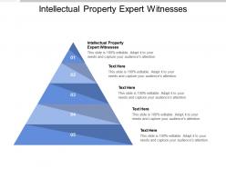 Intellectual property expert witnesses ppt powerpoint presentation portfolio picture cpb