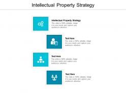 Intellectual property strategy ppt powerpoint presentation styles slideshow cpb