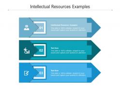 Intellectual resources examples ppt powerpoint presentation show inspiration cpb