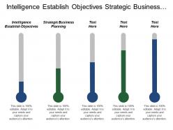 Intelligence establish objectives strategic business planning conclusions implementation