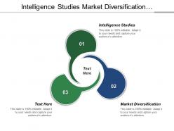 Intelligence studies market diversification segmentation studies existing marketing