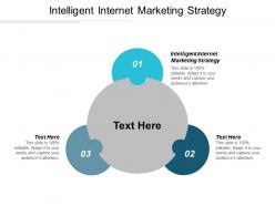 Intelligent internet marketing strategy ppt powerpoint presentation summary examples cpb