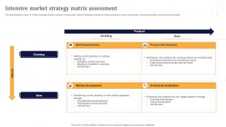Intensive Market Strategy Matrix Assessment