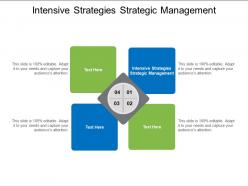Intensive strategies strategic management ppt powerpoint presentation infographic template ideas cpb