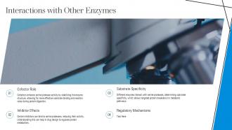 Interactions With Other Enzymes Serine Protease PPT Sample ST AI SS