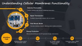 Interactive Cell Parts Lesson Membranes PPT Demonstration AT Impressive Professionally
