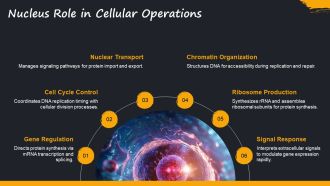Interactive Cell Parts Lesson Membranes PPT Demonstration AT Visual Professionally