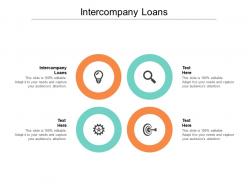 Intercompany loans ppt powerpoint presentation infographic template graphics cpb