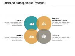 Interface management process ppt powerpoint presentation model show cpb